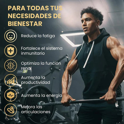 GOMITAS DE SHILAJIT: PODER PURO DEL HIMALAYA🏔️